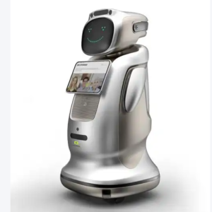 陪伴家庭和亲子的人工智能